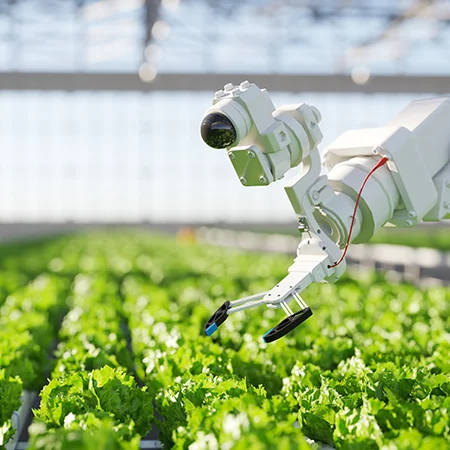 Farmer using tech in organic farming
